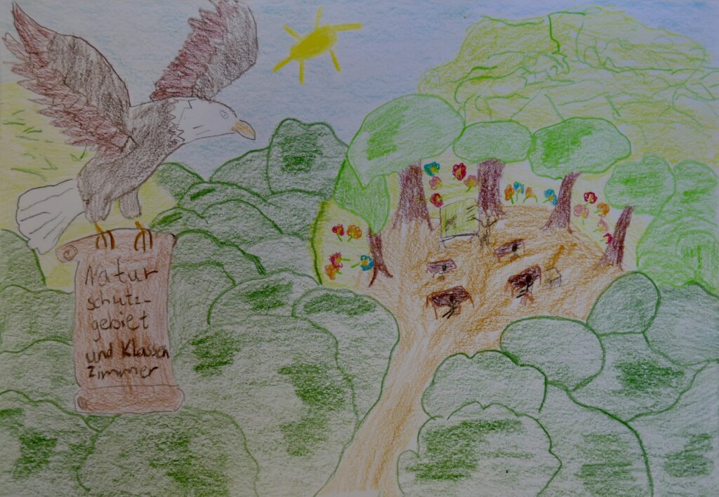 Malwettbewerb Waldhauptstadt 2025