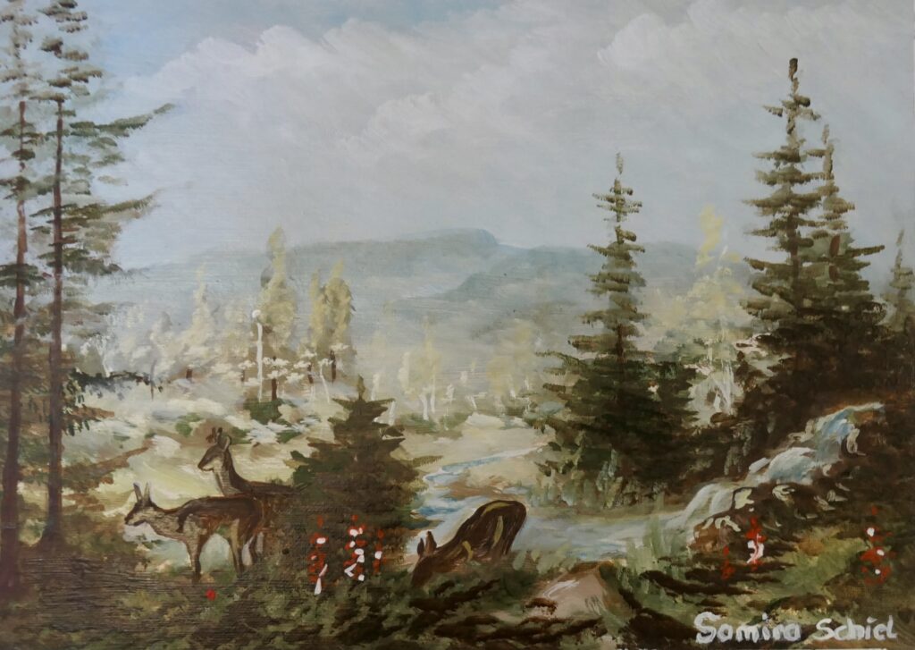 Malwettbewerb Waldhauptstadt 2025