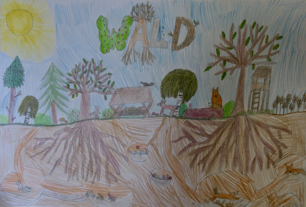 Malwettbewerb Waldhauptstadt 2025