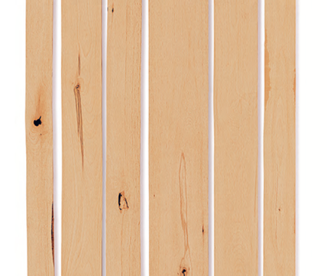 beech_timber_cabinetcolour_vorderseite