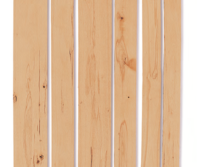 beech_timber_colour_vorderseite