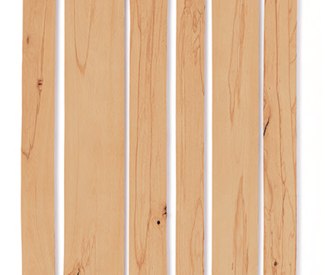 beech_timber_colourrotkern_vorderseite