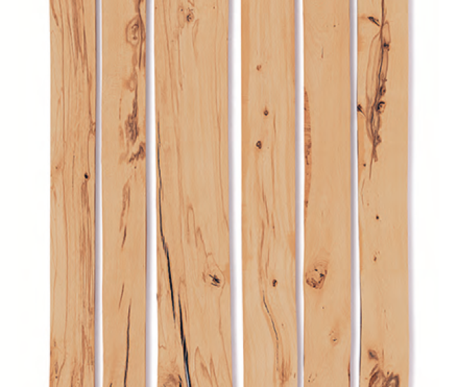 beech_timber_commonshop_rückseite