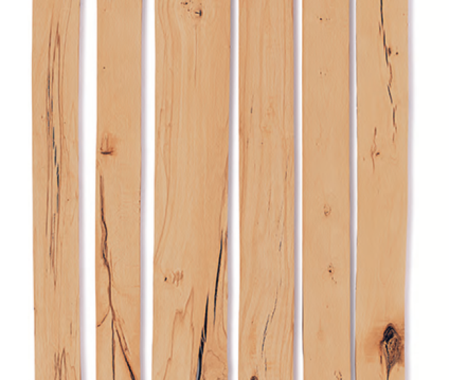 beech_timber_commonshop_vorderseite