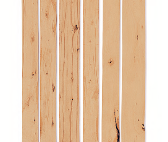 beech_timber_rustic_rückseite